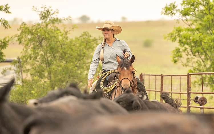 Women on horseback among cattle 